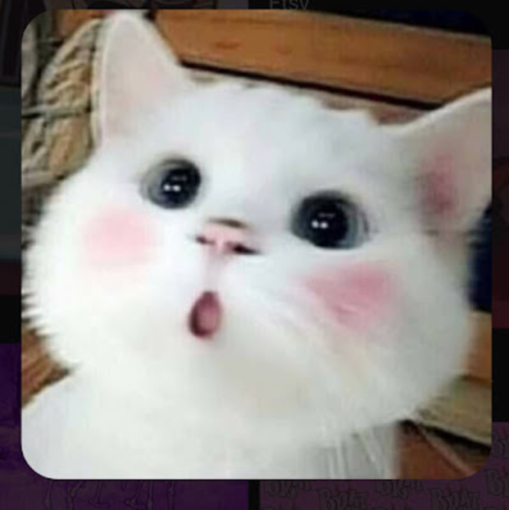 Meet your Posher, Kust